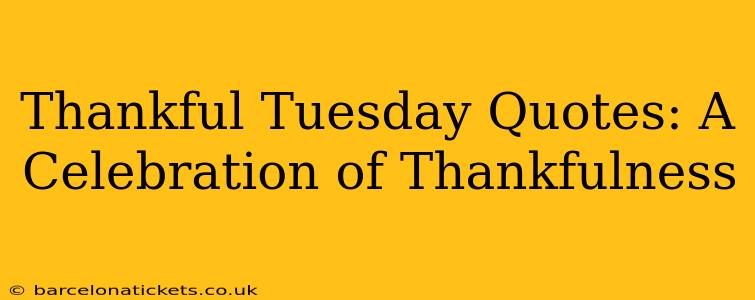 Thankful Tuesday Quotes: A Celebration of Thankfulness
