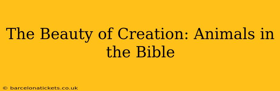 The Beauty of Creation: Animals in the Bible