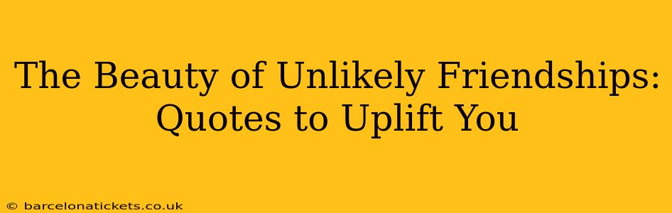 The Beauty of Unlikely Friendships: Quotes to Uplift You