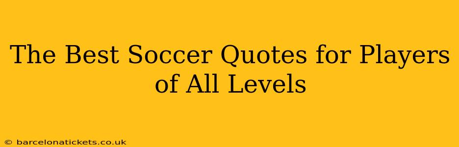 The Best Soccer Quotes for Players of All Levels