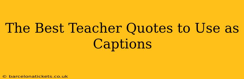 The Best Teacher Quotes to Use as Captions