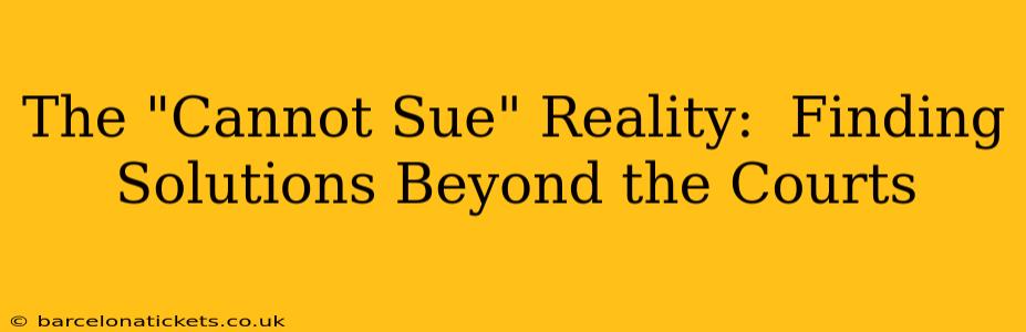 The "Cannot Sue" Reality:  Finding Solutions Beyond the Courts