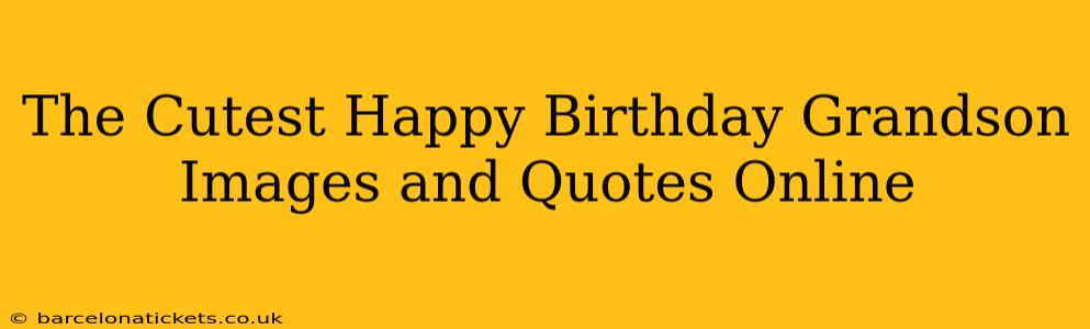 The Cutest Happy Birthday Grandson Images and Quotes Online