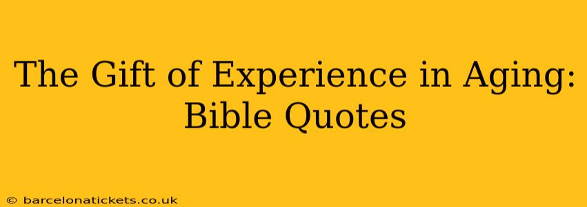 The Gift of Experience in Aging: Bible Quotes