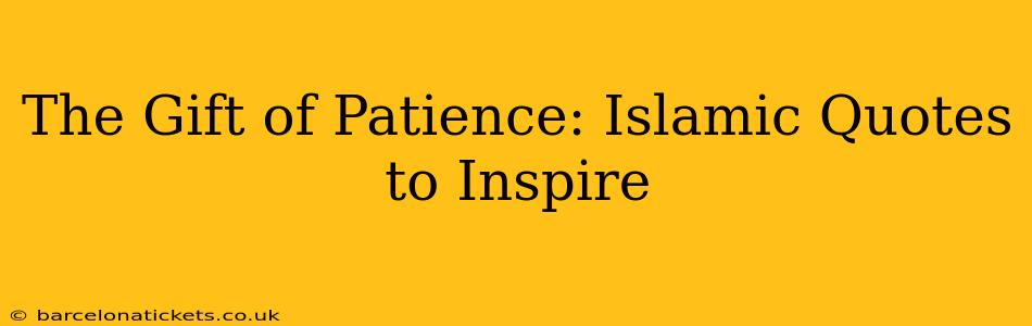 The Gift of Patience: Islamic Quotes to Inspire