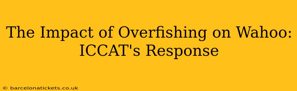 The Impact of Overfishing on Wahoo: ICCAT's Response