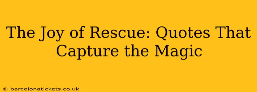 The Joy of Rescue: Quotes That Capture the Magic