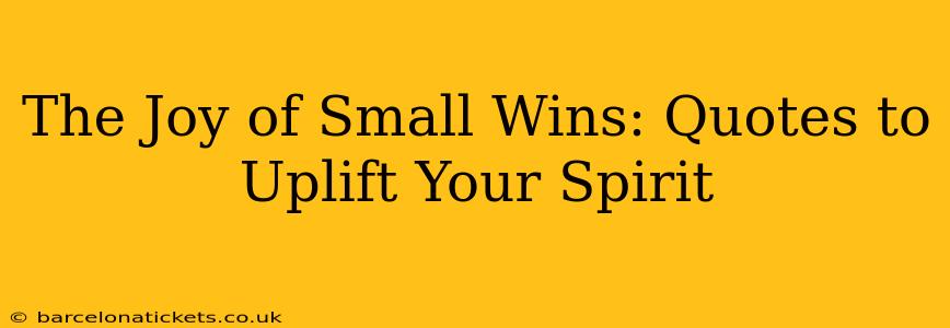 The Joy of Small Wins: Quotes to Uplift Your Spirit