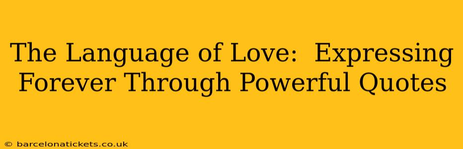 The Language of Love:  Expressing Forever Through Powerful Quotes