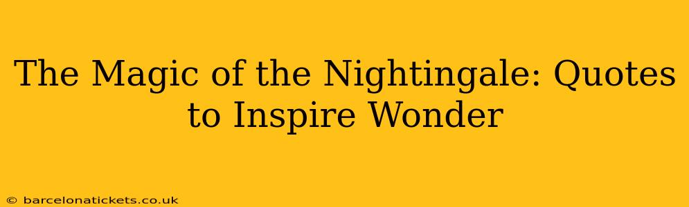 The Magic of the Nightingale: Quotes to Inspire Wonder