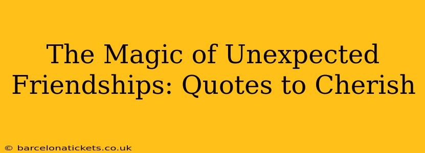The Magic of Unexpected Friendships: Quotes to Cherish