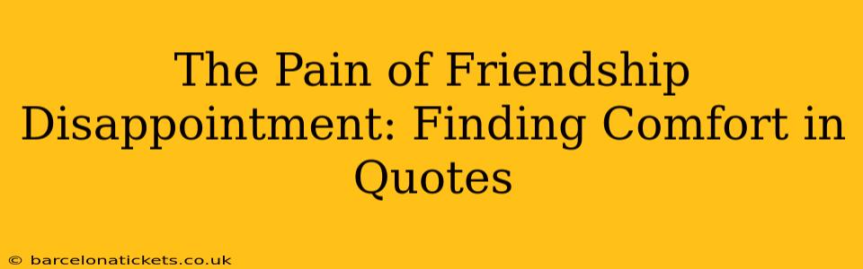 The Pain of Friendship Disappointment: Finding Comfort in Quotes
