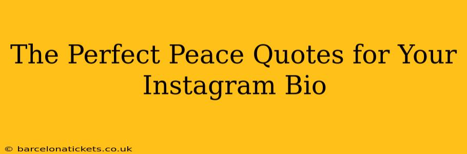 The Perfect Peace Quotes for Your Instagram Bio
