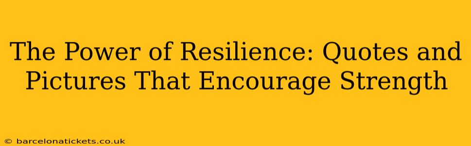The Power of Resilience: Quotes and Pictures That Encourage Strength