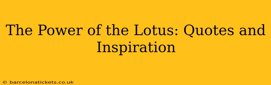The Power of the Lotus: Quotes and Inspiration