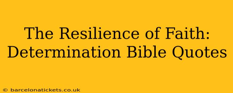 The Resilience of Faith: Determination Bible Quotes