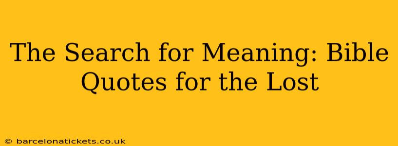 The Search for Meaning: Bible Quotes for the Lost