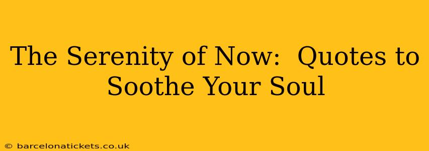 The Serenity of Now:  Quotes to Soothe Your Soul
