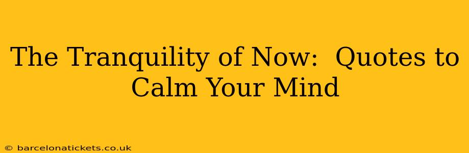 The Tranquility of Now:  Quotes to Calm Your Mind