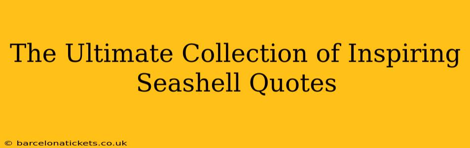 The Ultimate Collection of Inspiring Seashell Quotes