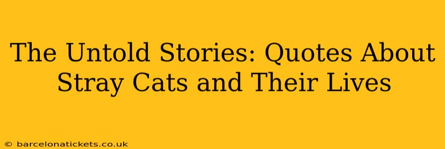 The Untold Stories: Quotes About Stray Cats and Their Lives