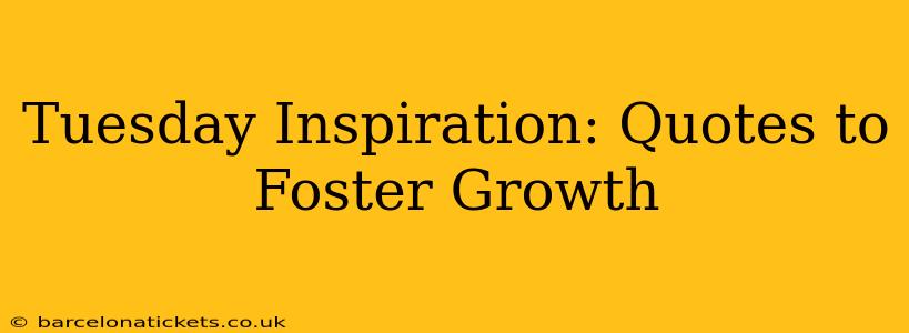 Tuesday Inspiration: Quotes to Foster Growth