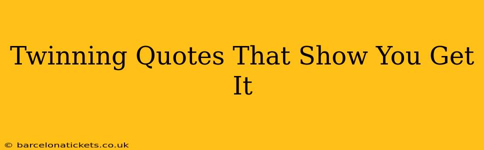 Twinning Quotes That Show You Get It