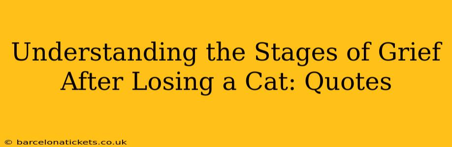 Understanding the Stages of Grief After Losing a Cat: Quotes