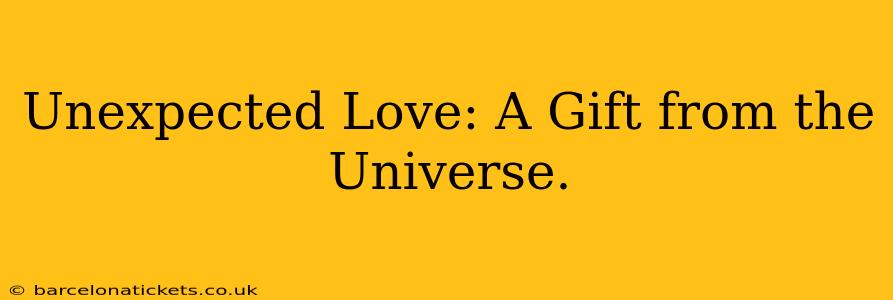 Unexpected Love: A Gift from the Universe.