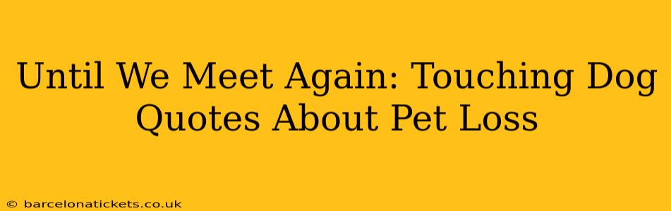 Until We Meet Again: Touching Dog Quotes About Pet Loss