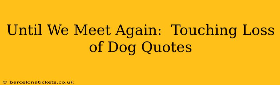 Until We Meet Again:  Touching Loss of Dog Quotes