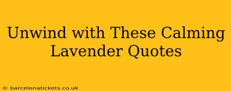 Unwind with These Calming Lavender Quotes