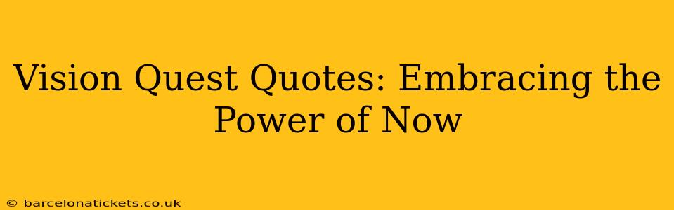 Vision Quest Quotes: Embracing the Power of Now