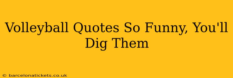 Volleyball Quotes So Funny, You'll Dig Them