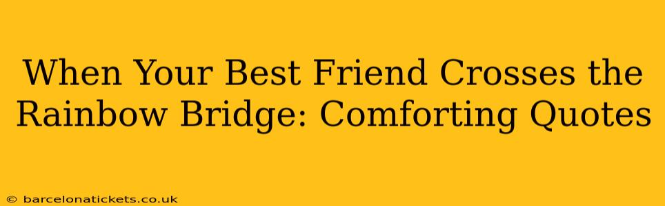 When Your Best Friend Crosses the Rainbow Bridge: Comforting Quotes