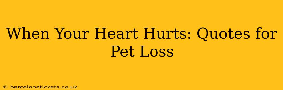 When Your Heart Hurts: Quotes for Pet Loss
