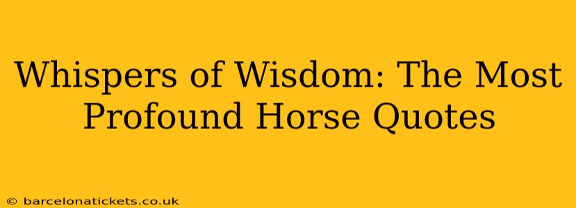 Whispers of Wisdom: The Most Profound Horse Quotes