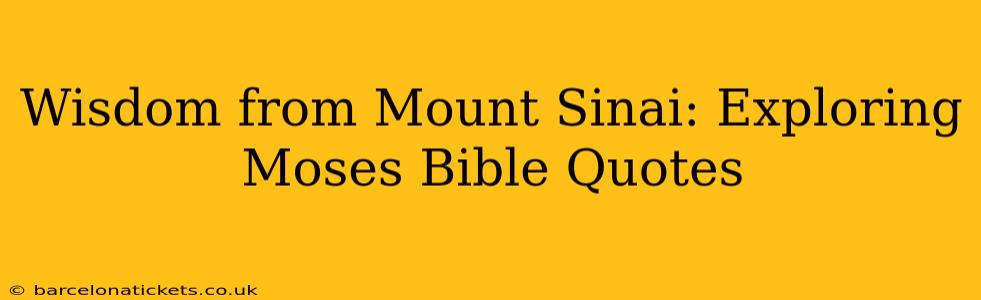 Wisdom from Mount Sinai: Exploring Moses Bible Quotes