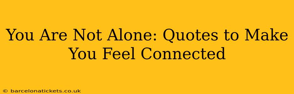 You Are Not Alone: Quotes to Make You Feel Connected
