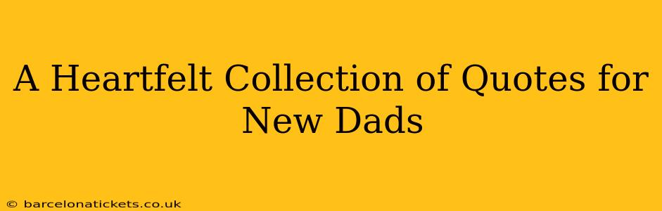 A Heartfelt Collection of Quotes for New Dads