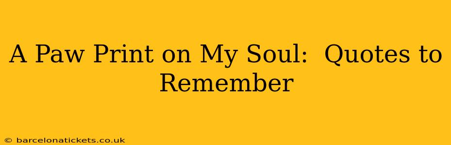 A Paw Print on My Soul:  Quotes to Remember