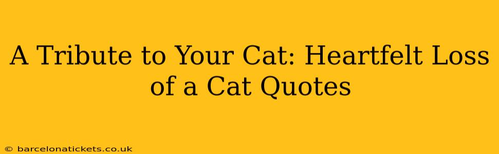 A Tribute to Your Cat: Heartfelt Loss of a Cat Quotes