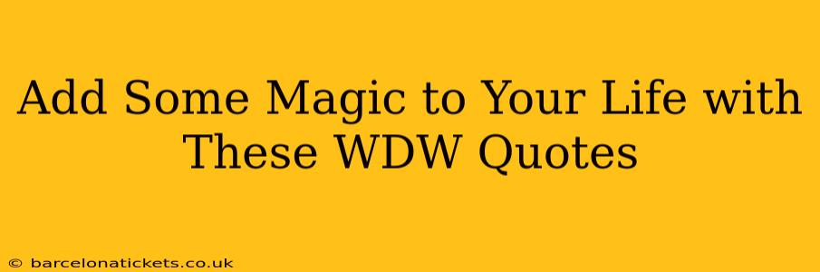 Add Some Magic to Your Life with These WDW Quotes