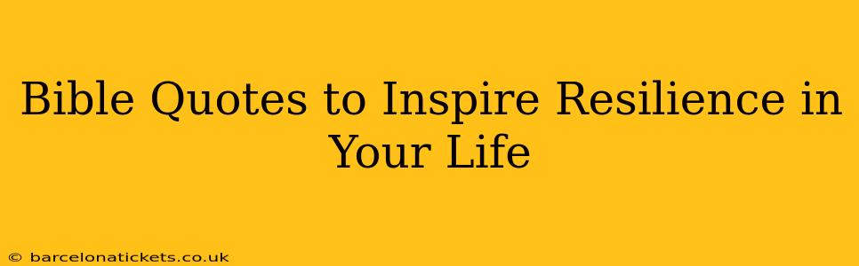 Bible Quotes to Inspire Resilience in Your Life