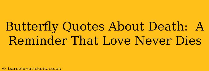 Butterfly Quotes About Death:  A Reminder That Love Never Dies