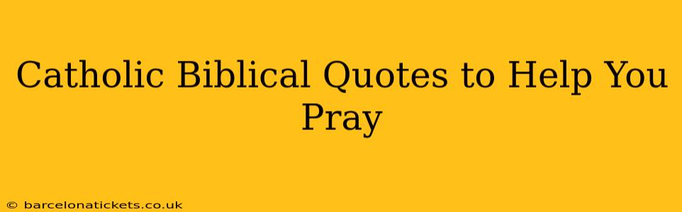 Catholic Biblical Quotes to Help You Pray