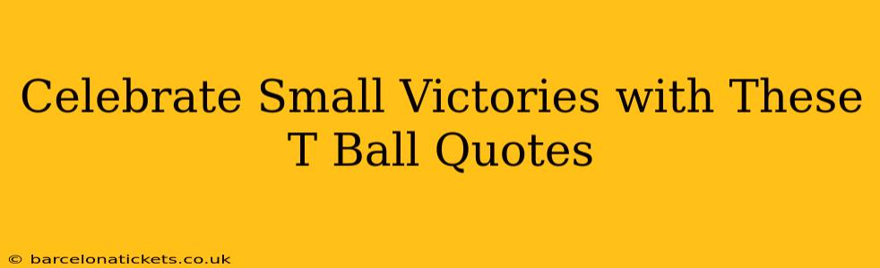 Celebrate Small Victories with These T Ball Quotes