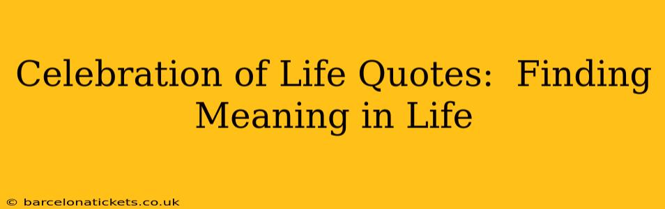 Celebration of Life Quotes:  Finding Meaning in Life