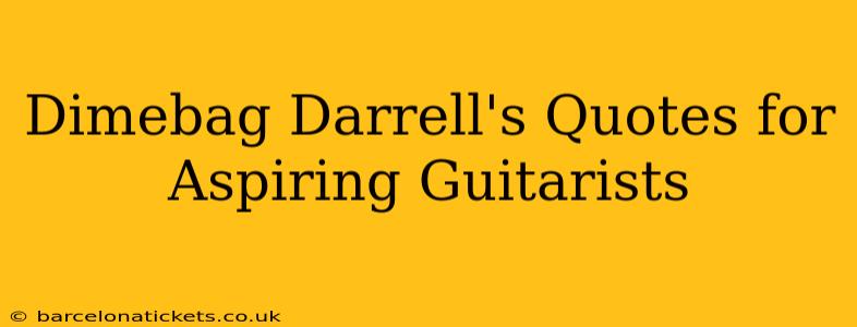 Dimebag Darrell's Quotes for Aspiring Guitarists