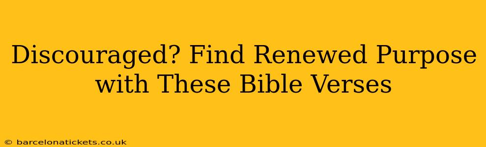 Discouraged? Find Renewed Purpose with These Bible Verses